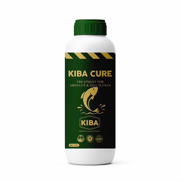 KIBA_CURE1