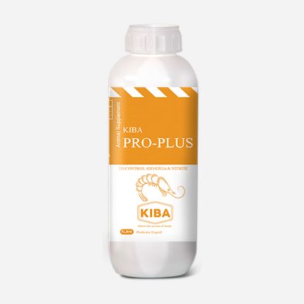 PRO-PLUS