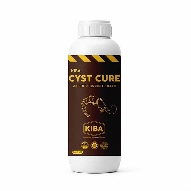 Cyst Cure