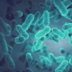 STREPTOCOCCUS THERMOPHILUS