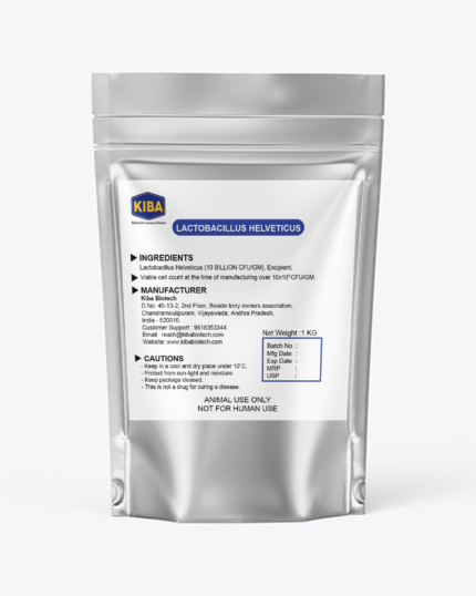 LACTOBACILLUS HELVETICUS