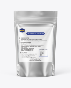 LACTOBACILLUS LACTIS